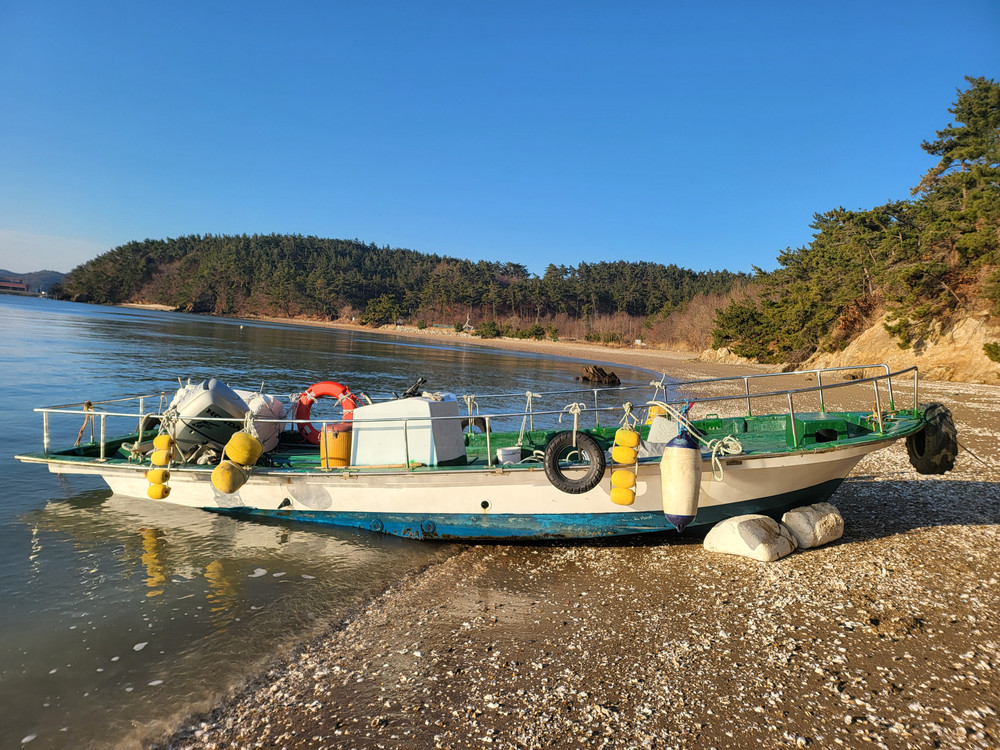 혼다 90마력 4싸 레저보트 낚시배 판매 이미지