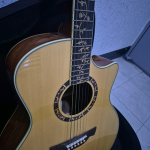 일렉트릭 어쿠스틱 기타 이미지