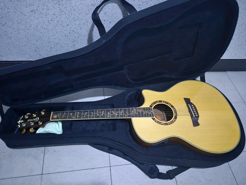 일렉트릭 어쿠스틱 기타 이미지