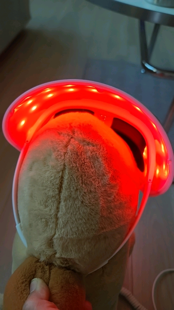 LG 프라엘 더마 LED 마스크 이미지