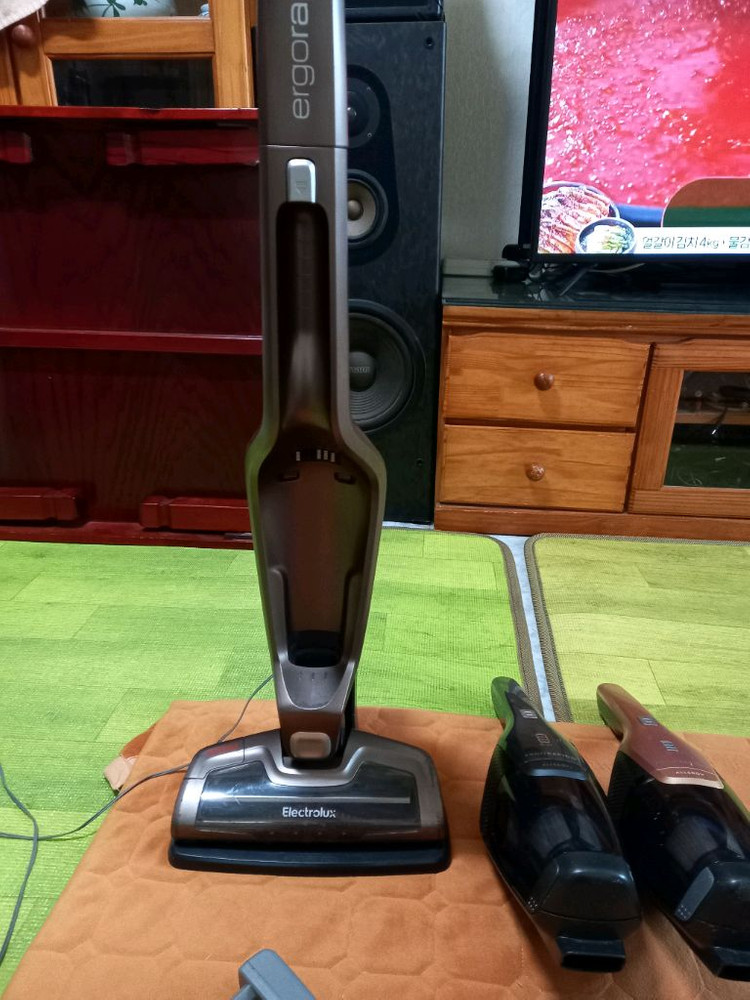 중고 일렉트로룩스 무선청소기 부품판매 44500원 이미지