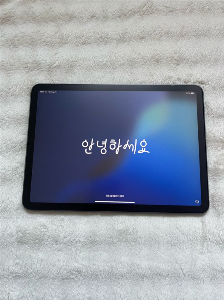 애플 정품 아이패드 에어 5세대 256GB 팝니다 이미지