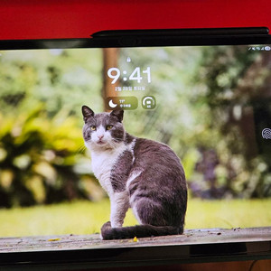 갤럭시탭 s9 5g 256 자급제 이미지