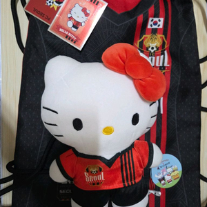 급처/새것/fc서울 굿즈/24유니폼 짐색/산리오 콜라보/파니니 카드 이미지