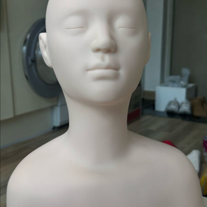 피부미용마네킹(데콜테마네킹)팔아요 이미지