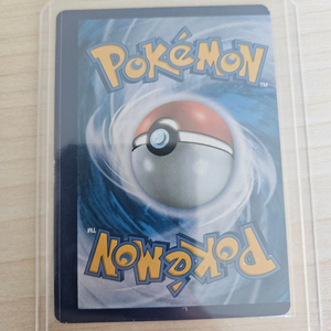 포켓몬 카드25주년 에러카드 이미지