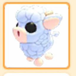 입양하세요 앵거스 송아지 이미지