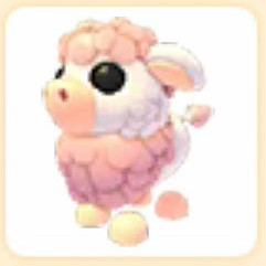 입양하세요 앵거스 젖소 이미지