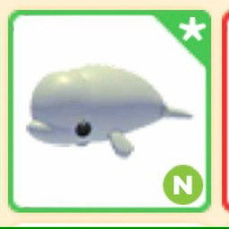 입양하세요 벨루가 네온 이미지