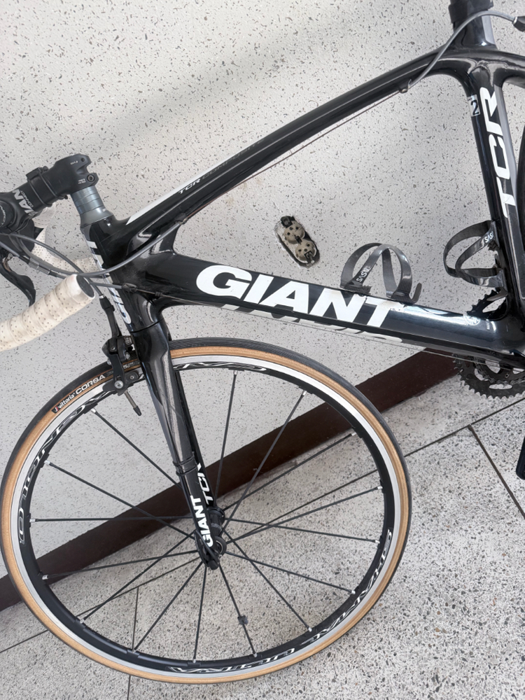 자이언트 TCR 로드자전거(캄파놀로 샤말 울트라) 이미지