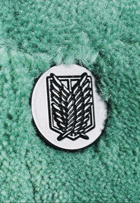 진격의 거인 조사병단 망토 담요 / 굿즈 진격거 리바이 에렌 미카사 아르민 엘빈 이미지