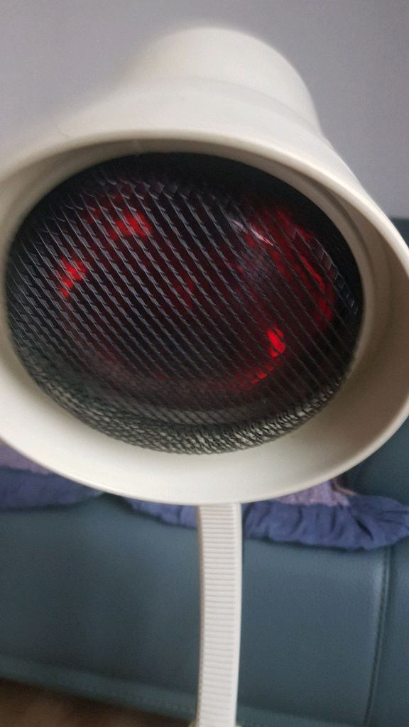 필립 바이오 적외선조사기 이미지