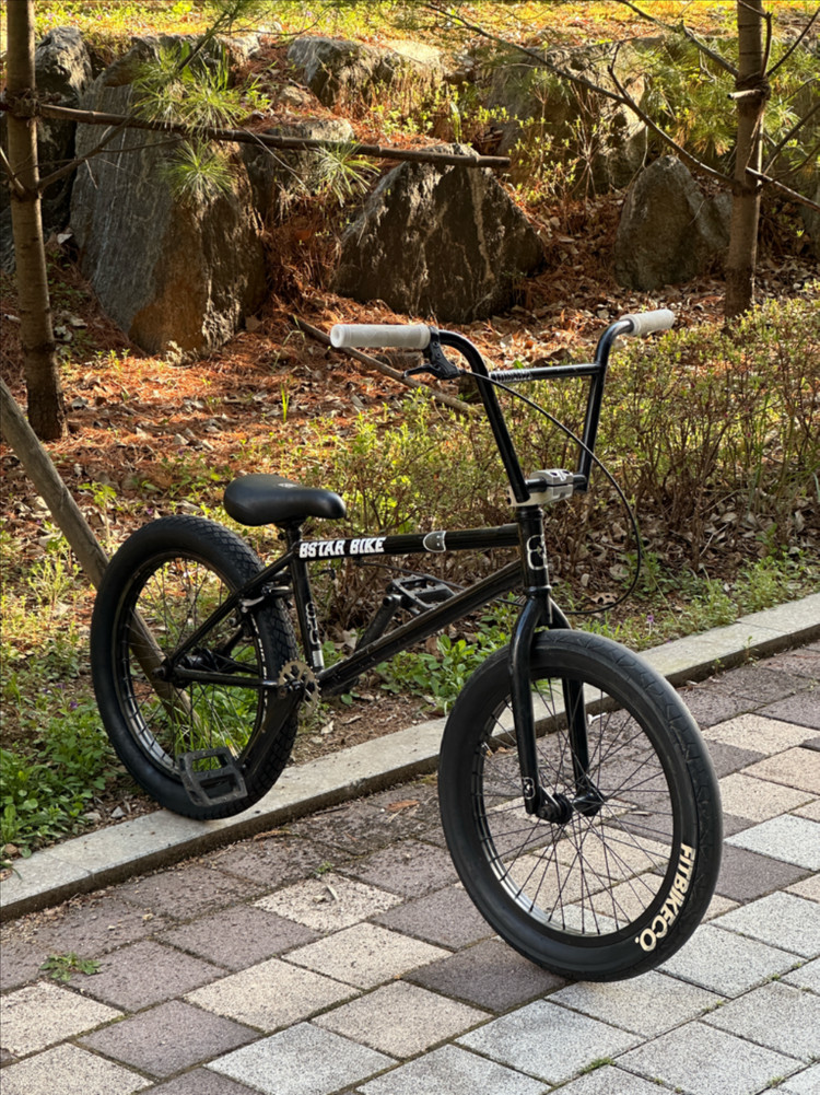 bmx 비스타바이크 급처 이미지
