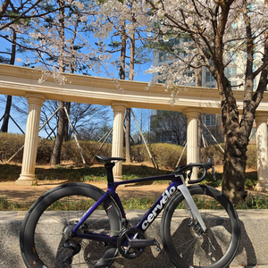 써벨로S5 48사이즈 울테그라Di2 (사파이어아이스) 서울(방배)/파주(야당) 직거래 판매 희망 이미지