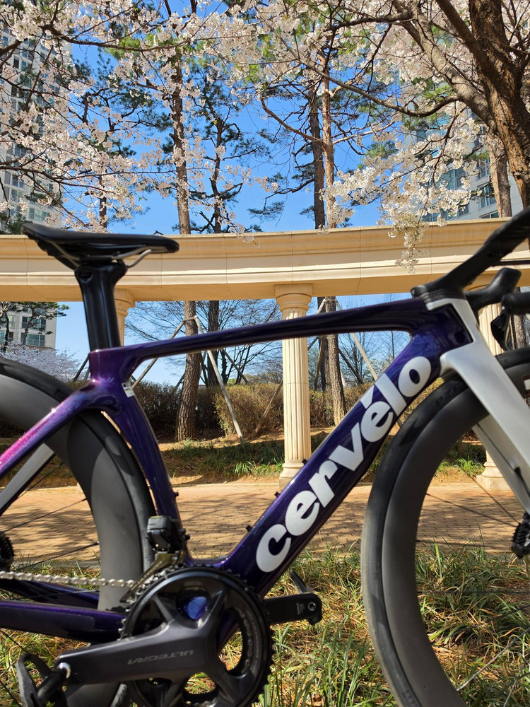 써벨로S5 48사이즈 울테그라Di2 (사파이어아이스) 서울(방배)/파주(야당) 직거래 판매 희망 이미지