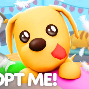 입양하세요 펫 다삽니다 이미지