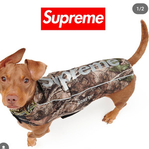 슈프림 고어텍스 강아지 옷 이미지
