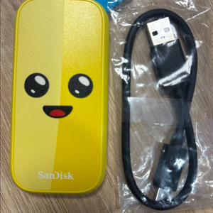 샌디스크 포터블 외장 SSD E30 포트나이트 리미티드 에디션 2TB 이미지