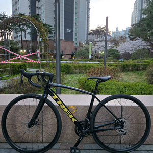 트렉 도마니 al2 입문용 로드 자전거팝니다. 이미지