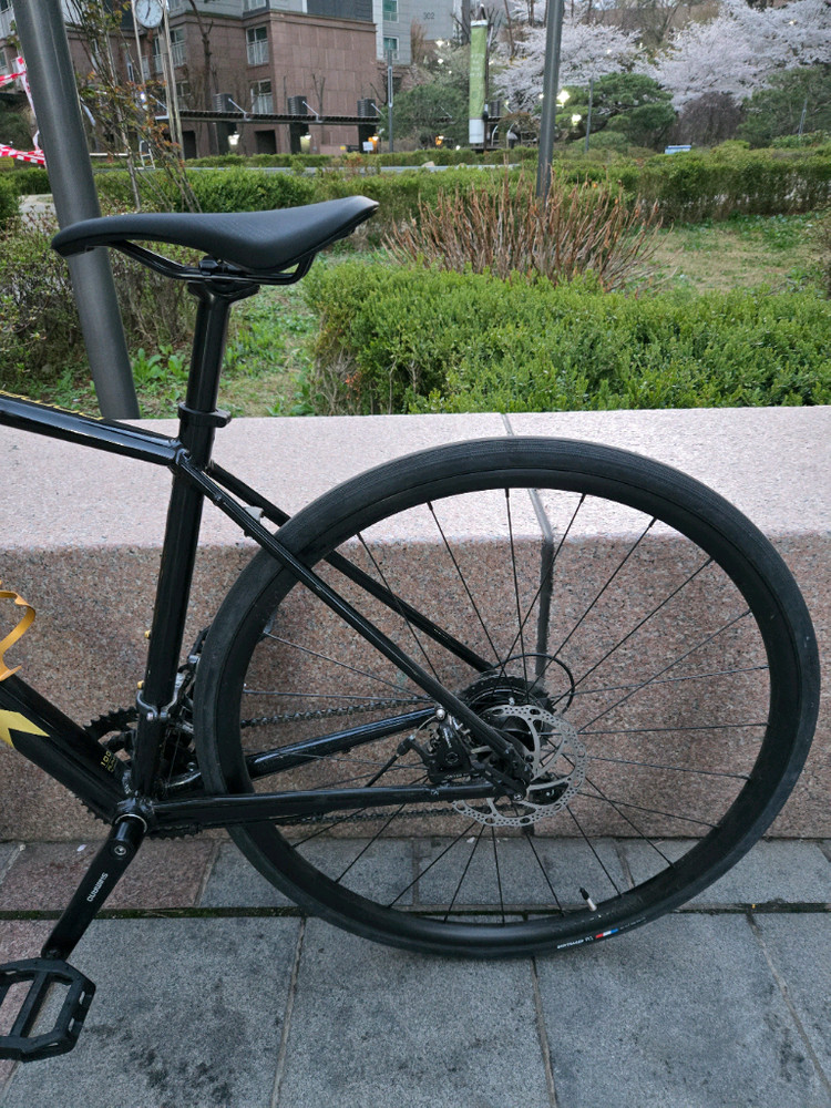 트렉 도마니 al2 입문용 로드 자전거팝니다. 이미지