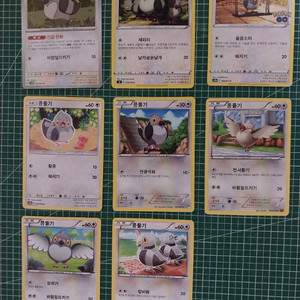 포켓몬카드 콩둘기 일반카드 8종 일괄 이미지