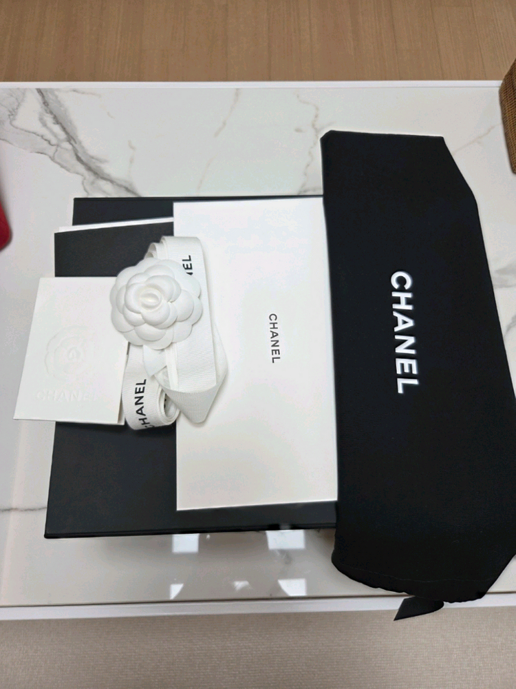 샤넬 가브리엘 백팩 스몰 새상품 풀박(내장칩) 이미지