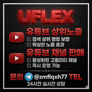 유튜브상위노출,유튜브채널판매 이미지