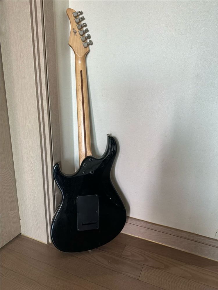 일렉기타g250 이미지