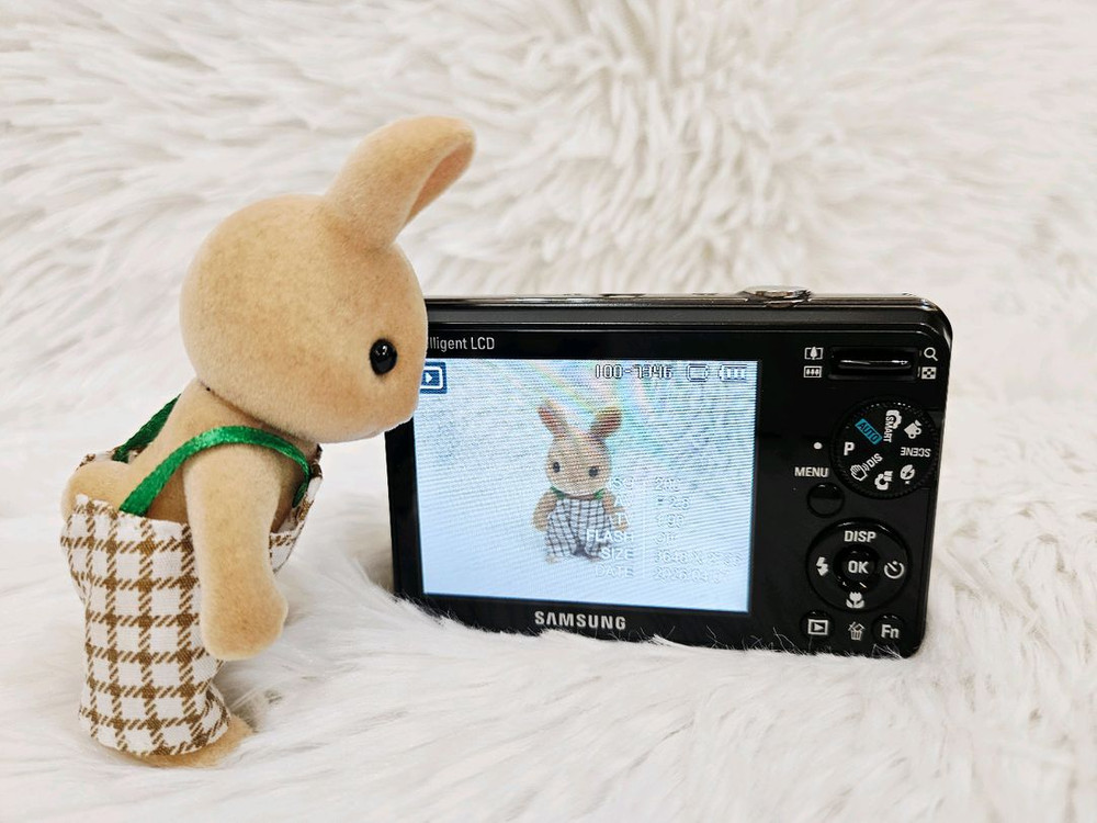 [A급] 삼성 블루(VLUU) PL50 디카, 디지털카메라 판매 이미지