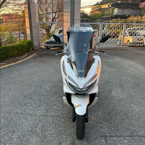 19년식 pcx125 오토바이 판매합니다 이미지