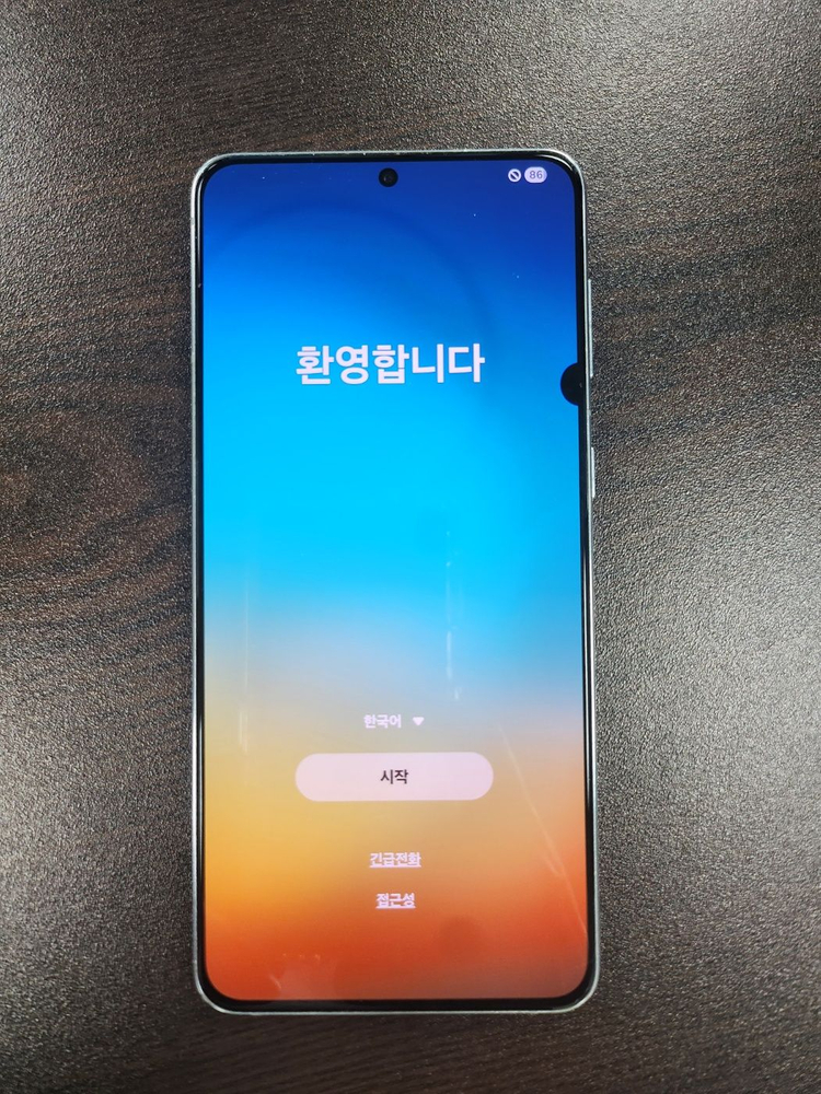 갤럭시 S21 플러스 256 GB (실버) 이미지