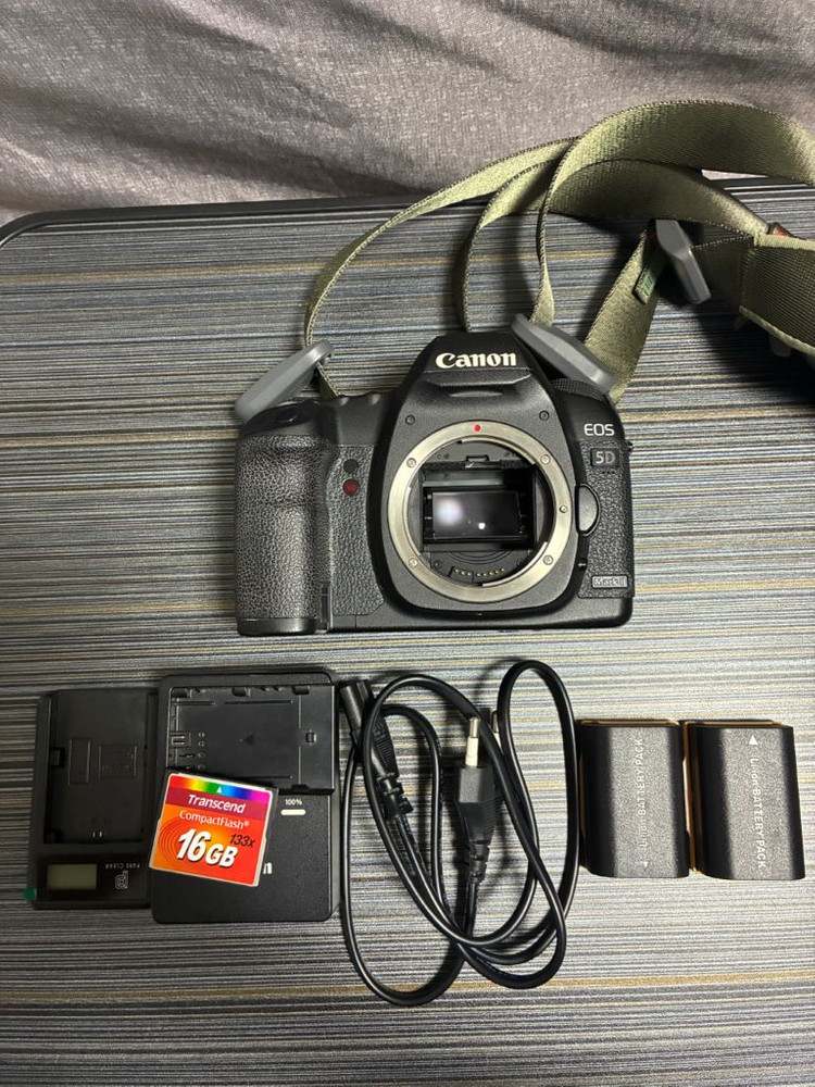 캐논 5D Mark2 + EF 50mm F1.8 STM 이미지