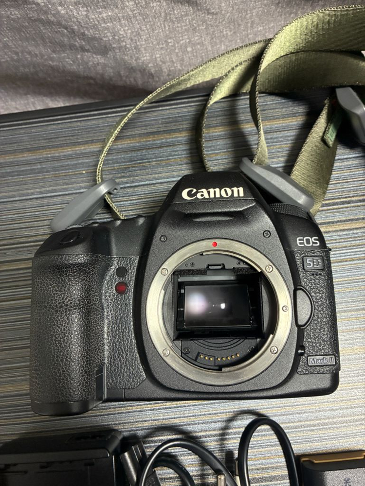 캐논 5D Mark2 + EF 50mm F1.8 STM 이미지