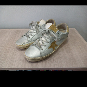 골든구스260 이미지