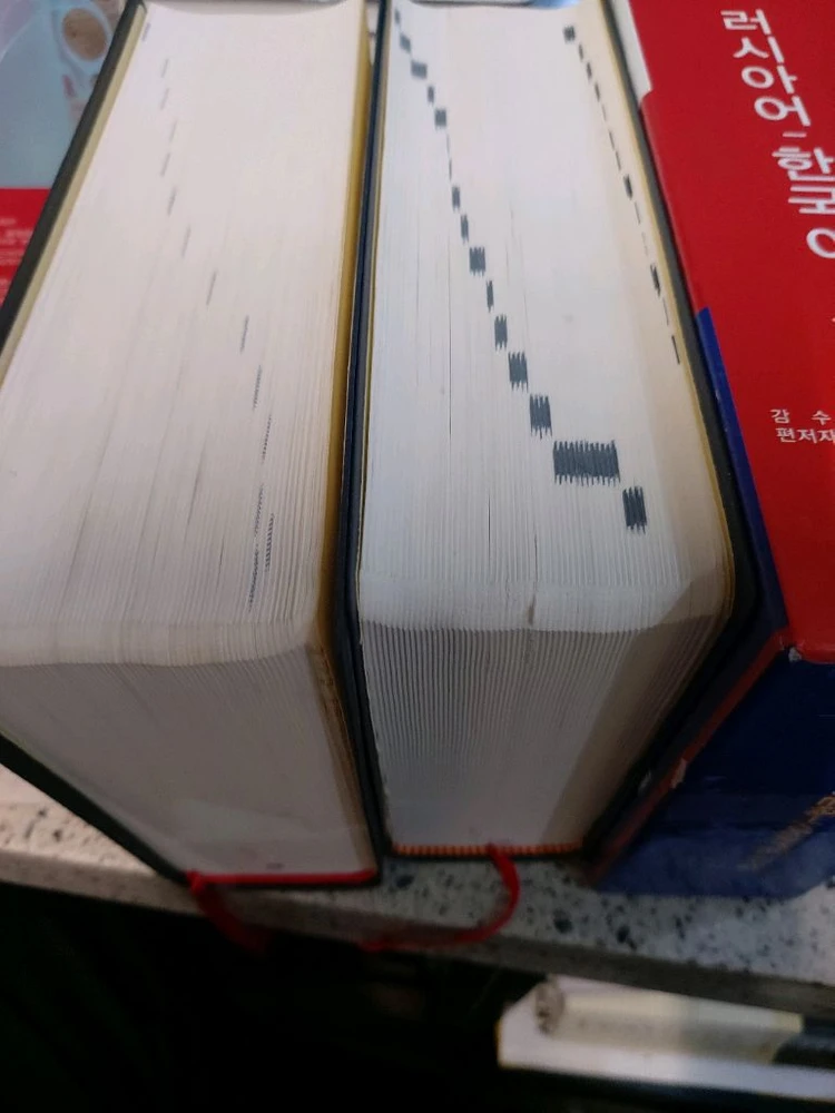 최신 한국어-러시아어/러시아어-한국어 사전 이미지