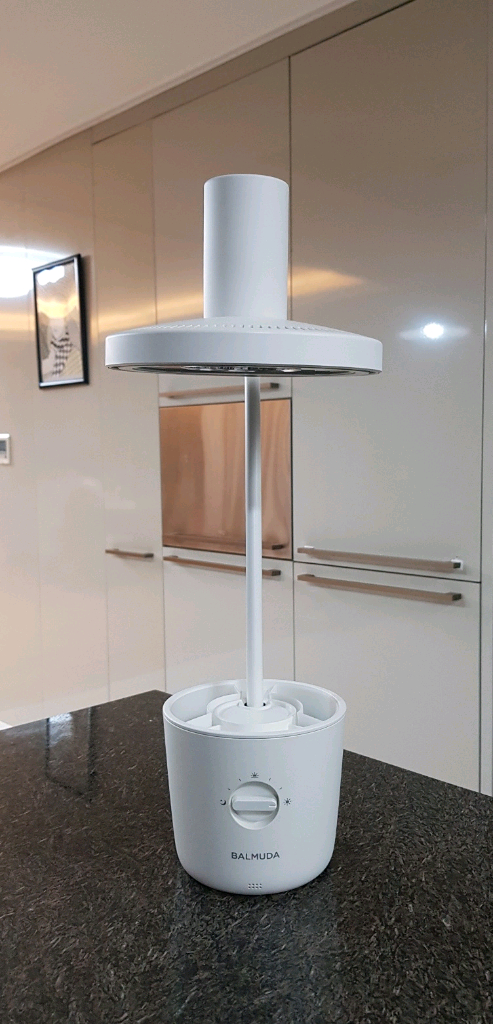 발뮤다 더 라이트 LED 스탠드 화이트 이미지