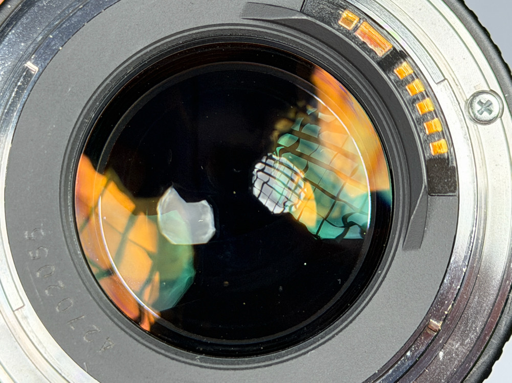 캐논 EF 85mm F1.8 USM 렌즈, 애기만두 이미지