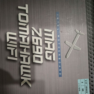 Z690 토마호크 WIFI D5 이미지