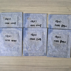 [일괄] 시즌5 포켓몬띠부씰 스이쿤.리자몽등 이미지