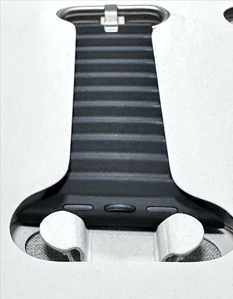 애플워치 블랙, 내추럴티타늄 오션밴드 이미지