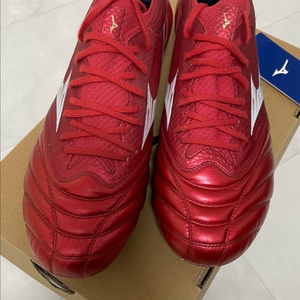 미즈노모렐리아네오4베타엘리트md 260 이미지