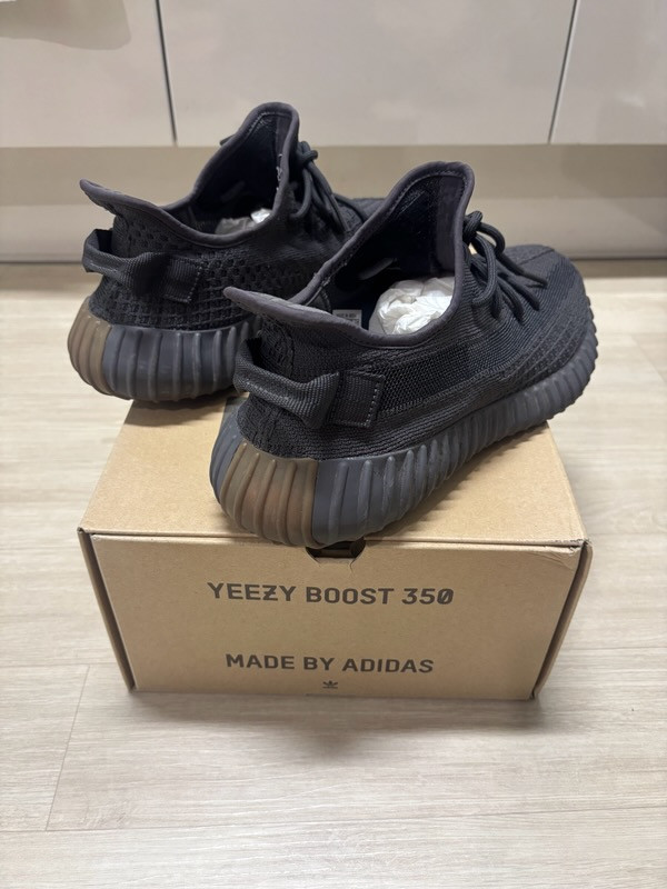 이지부스트 350 V2 신더(285) 이미지