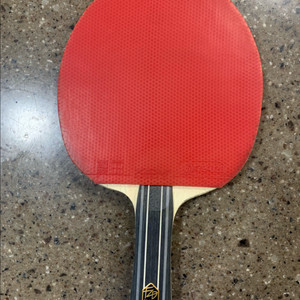 버터플라이 판젠동ZLC 19만, 티모볼alc 15만 탁구라켓 이미지