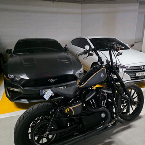 할리데이비슨 아이언883 이미지