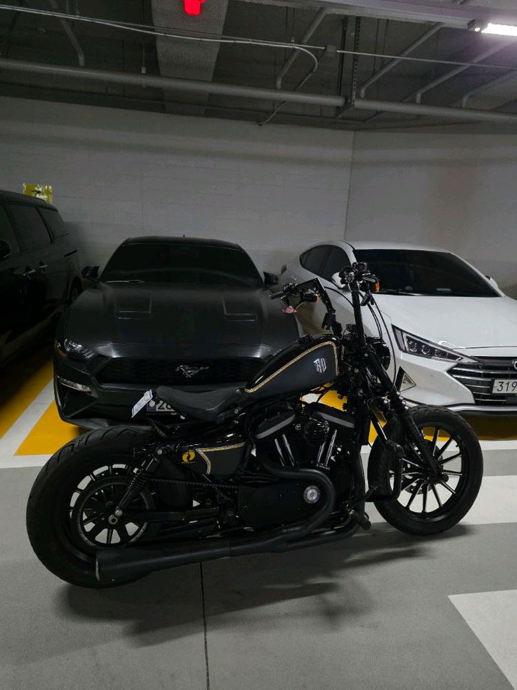 할리데이비슨 아이언883 이미지