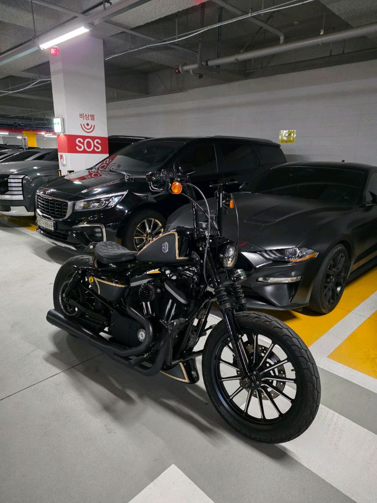 할리데이비슨 아이언883 이미지