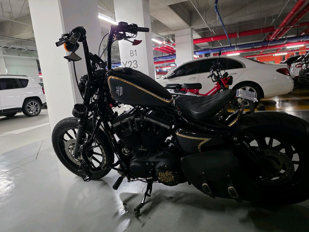 할리데이비슨 아이언883 이미지