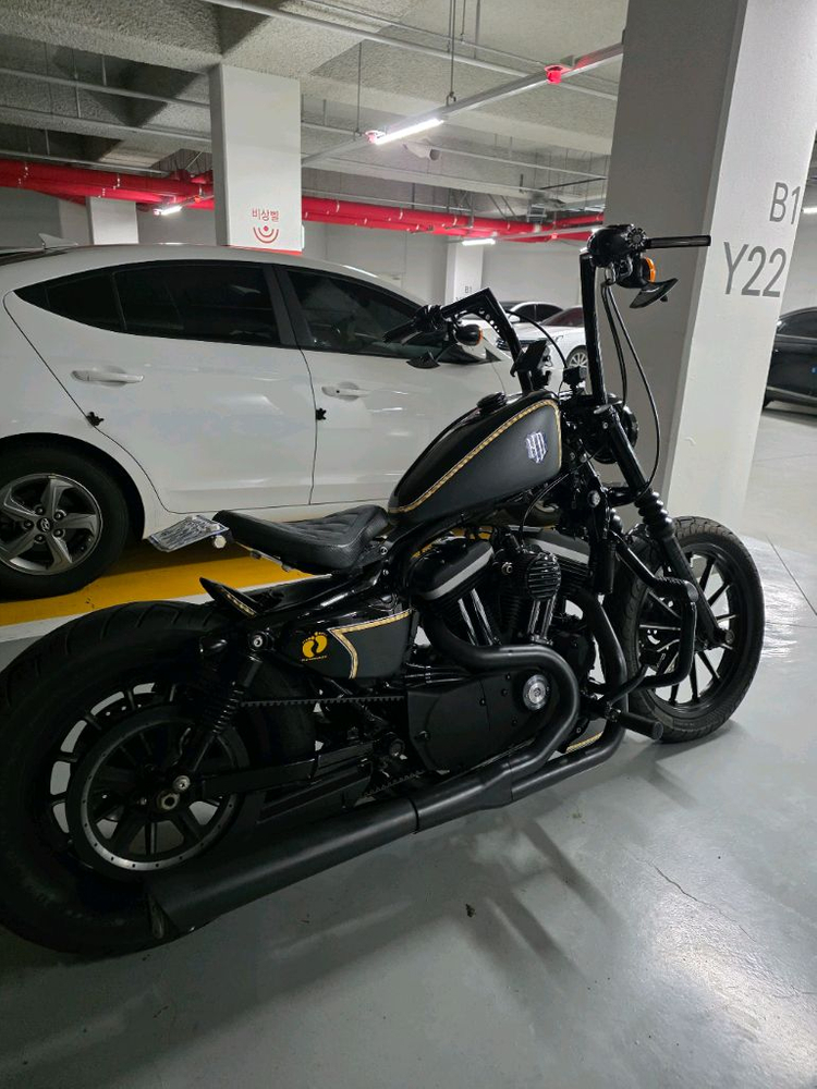 할리데이비슨 아이언883 이미지