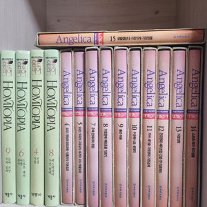 옛날책 계몽사 홈토피아 여성백과 안젤리카 책 이미지