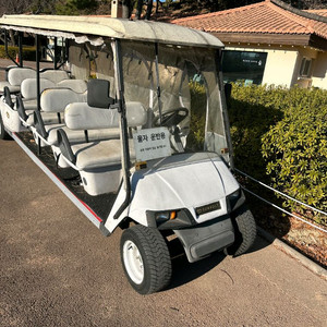10인승 전동카트 골프카트 전동카 캠핑장 골프장 시골 농촌 이미지